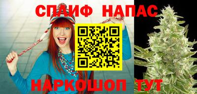 мяу мяу мука Абакан