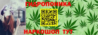 мяу мяу мука Абакан