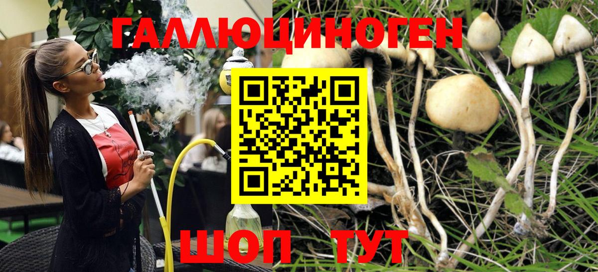 Галлюциногенные грибы Magic Shrooms Алексин